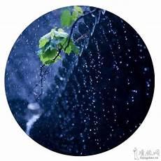 相逢十二载什么意思