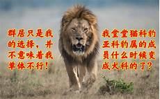 重生之我是一只雄狮